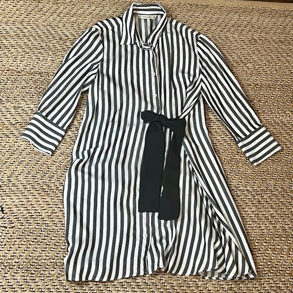 Zara Button Down Stripped Dress in Medium - Picture 1 of 4